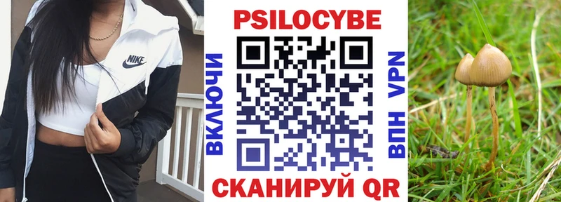 Галлюциногенные грибы MAGIC MUSHROOMS  Купить  Петухово 